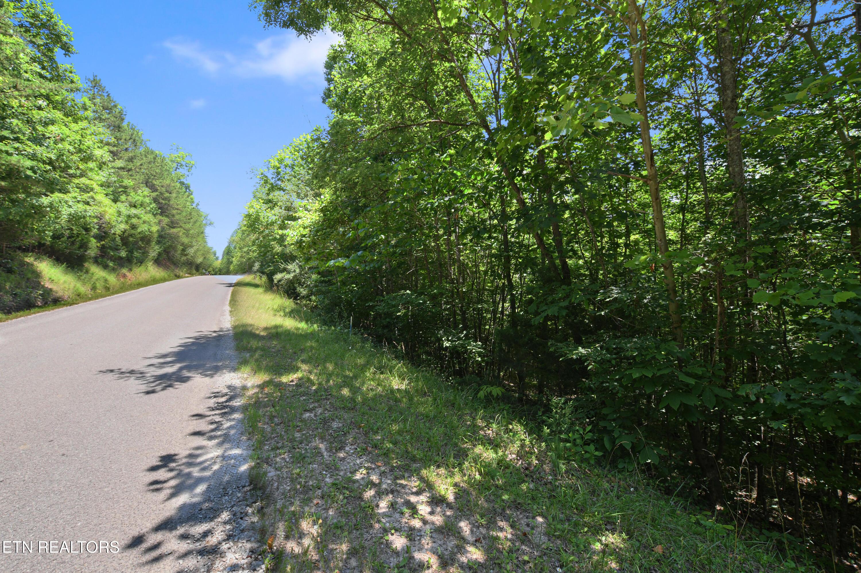 Windsor Lane, Jacksboro, TN - Norris Lake Real Estate - Image# 1