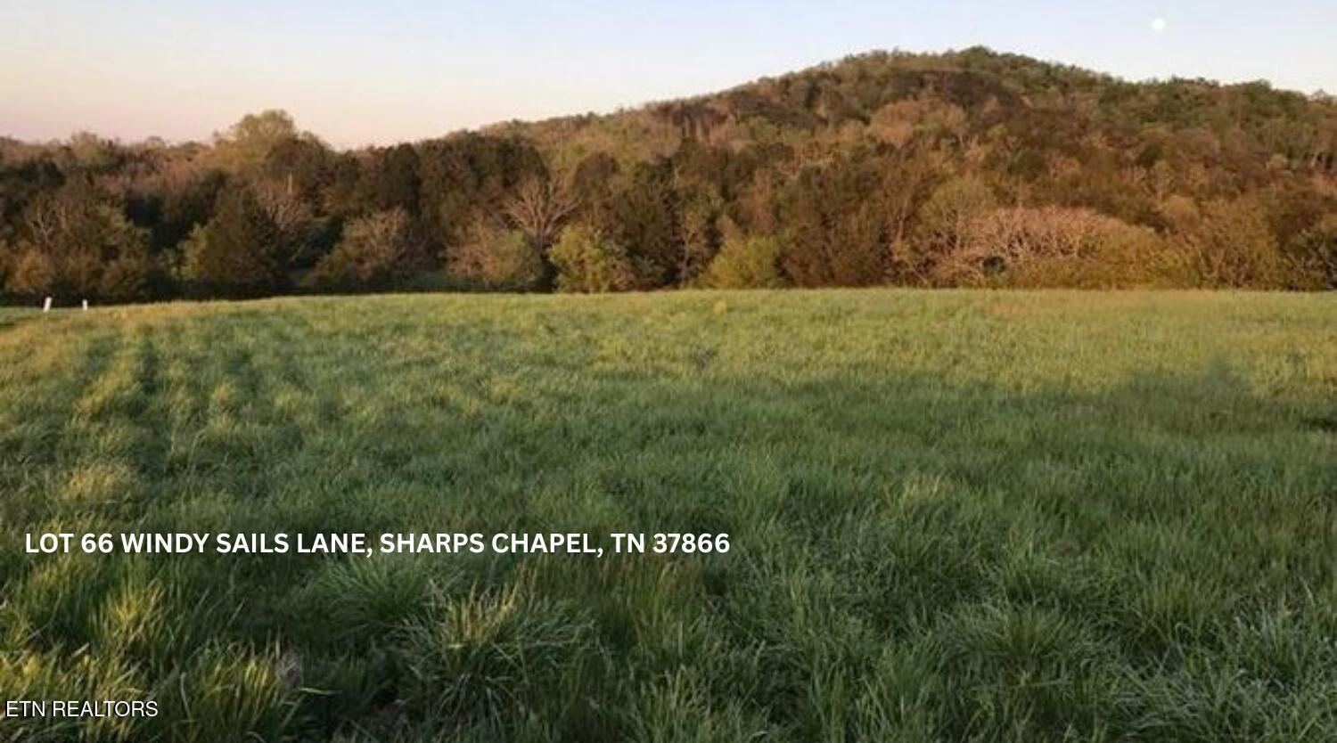 Lot 66 Windy Sails Lane, Sharps Chapel, TN - Norris Lake Real Estate - Image# 13
