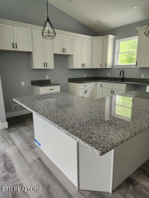 176 Flat Hollow Marina Rd, Speedwell, TN - Norris Lake Real Estate - Image# 42