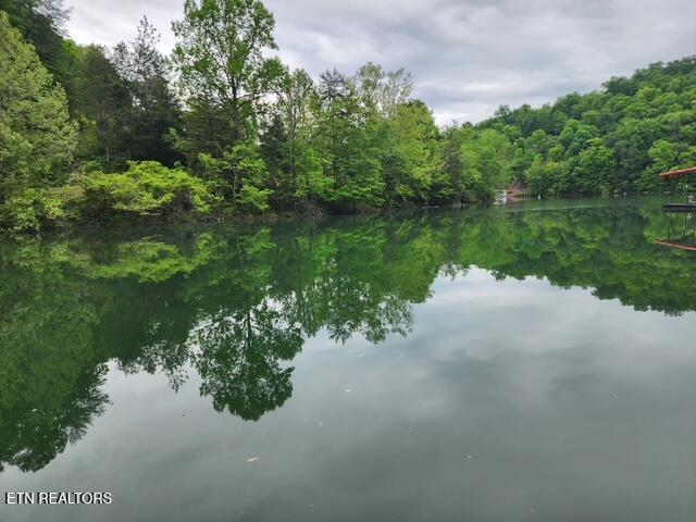 176 Flat Hollow Marina Rd, Speedwell, TN - Norris Lake Real Estate - Image# 19