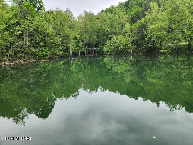 176 Flat Hollow Marina Rd, Speedwell, TN - Norris Lake Real Estate - Image# 21