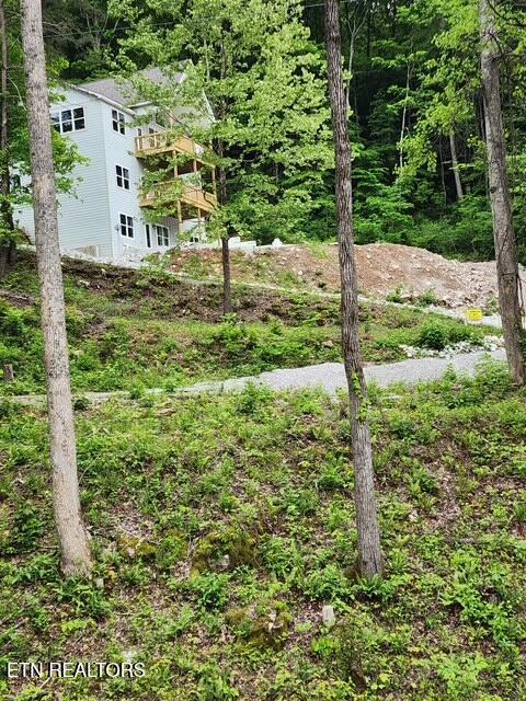 176 Flat Hollow Marina Rd, Speedwell, TN - Norris Lake Real Estate - Image# 3