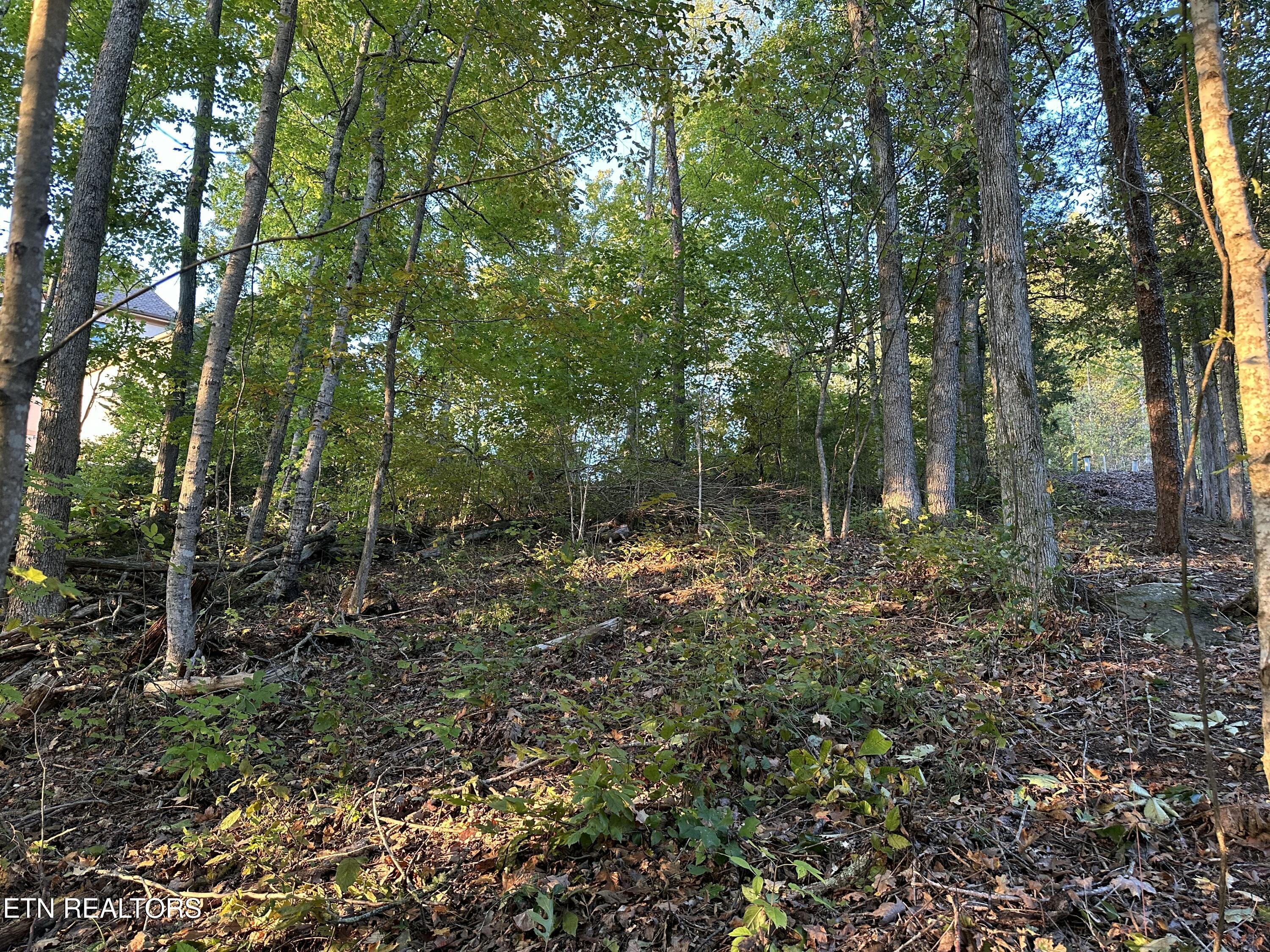 Lot 778 Russell Brothers Rd, Sharps Chapel, TN - Norris Lake Real Estate - Image# 10
