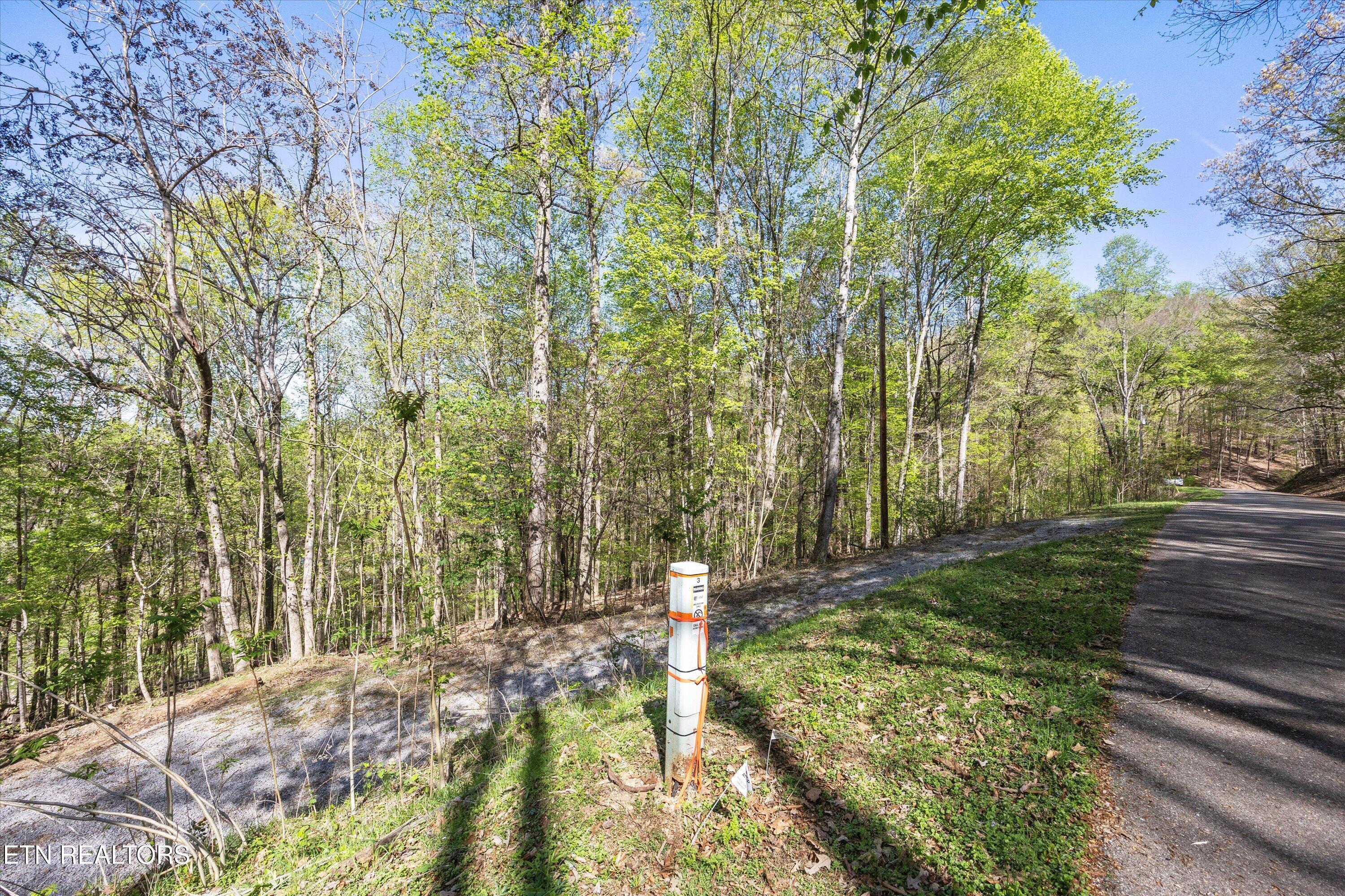 Duncan, Andersonville, TN - Norris Lake Real Estate - Image# 8