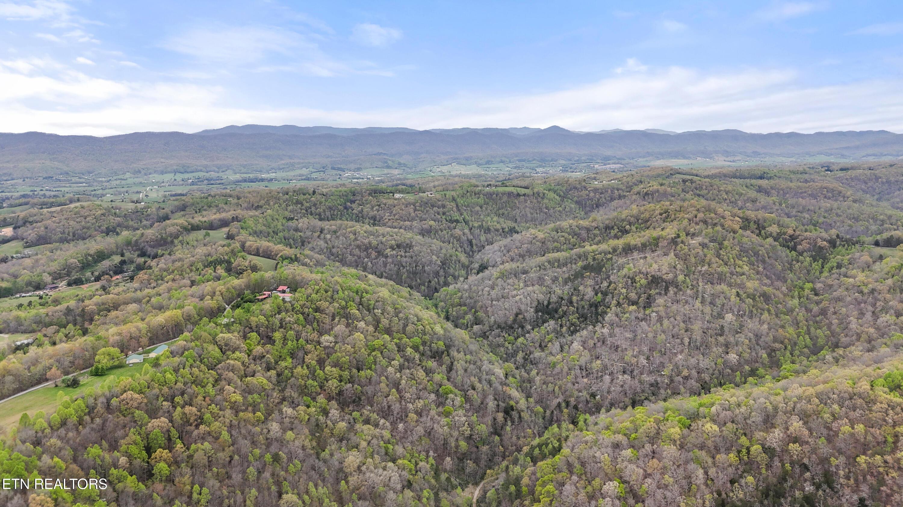 Friendship Hollow Rd, Speedwell, TN - Norris Lake Real Estate - Image# 25