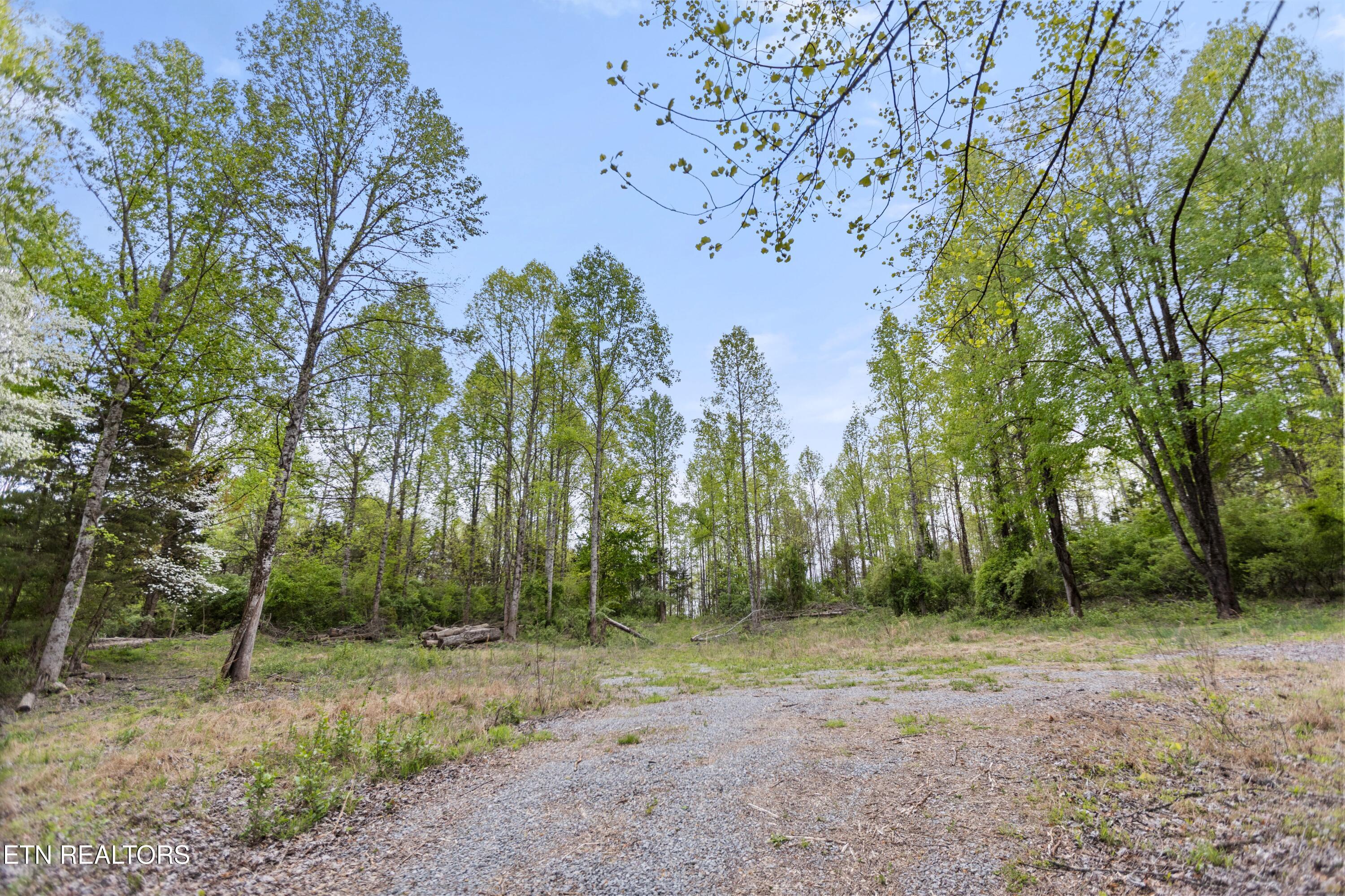 Friendship Hollow Rd, Speedwell, TN - Norris Lake Real Estate - Image# 15