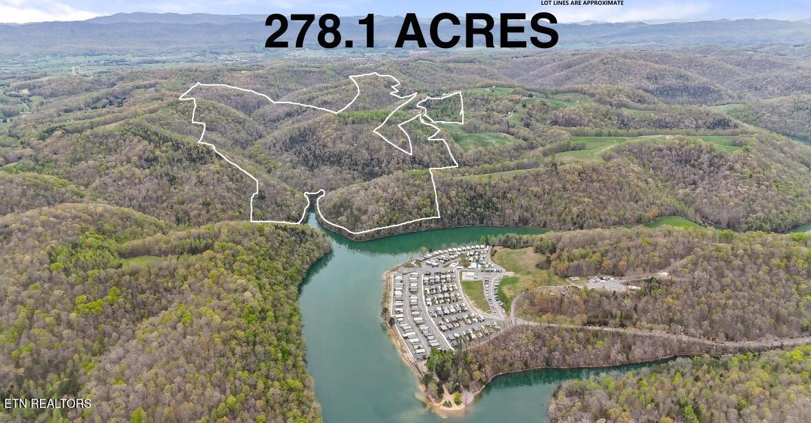 Norris Lake Real Estate - Image# 4