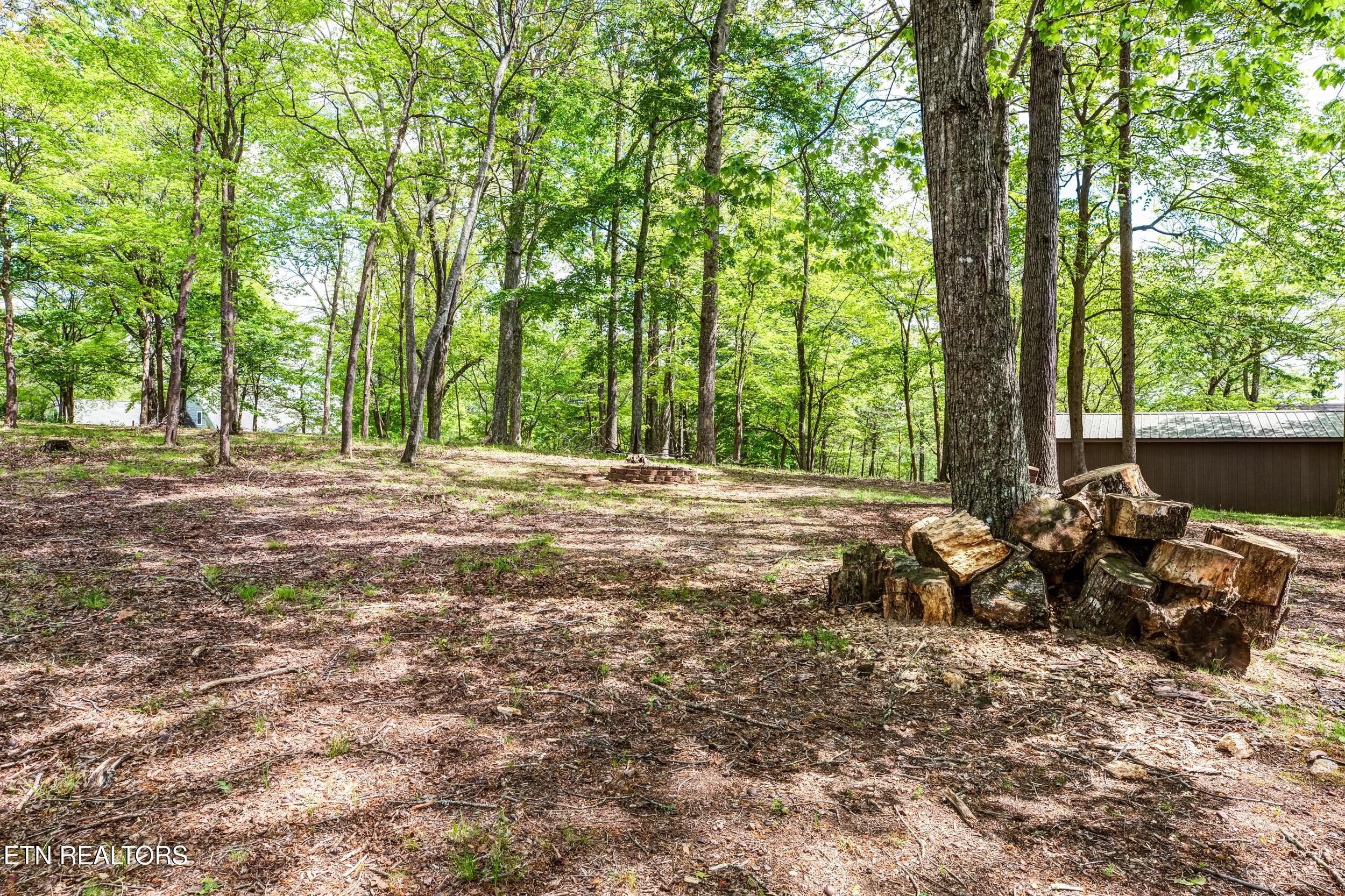 129 Bucks and Doe Lane, Lafollette, TN - Norris Lake Real Estate - Image# 16