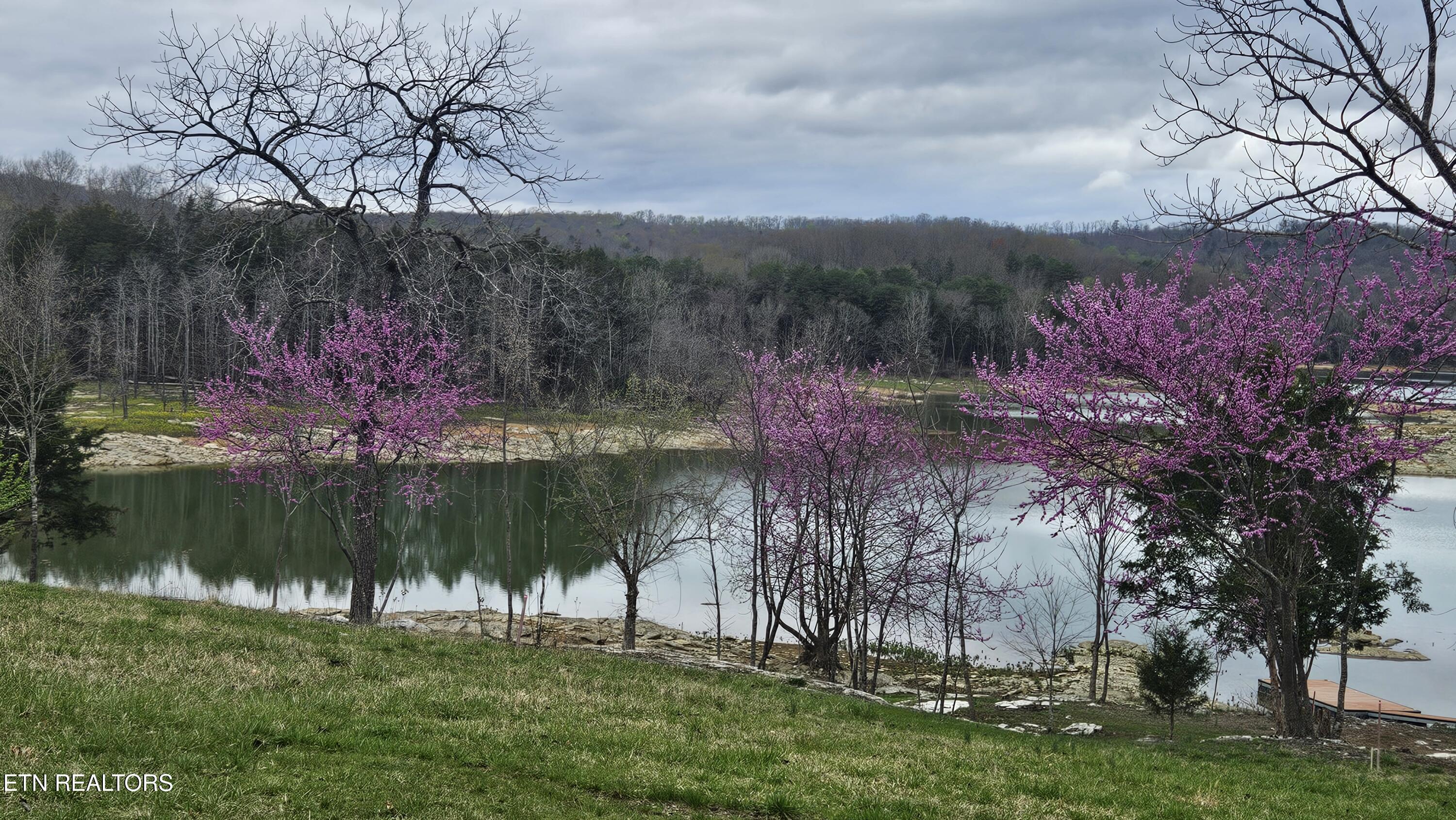 Lot 20 Fishers Loop, Sharps Chapel, TN - Norris Lake Real Estate - Image# 17