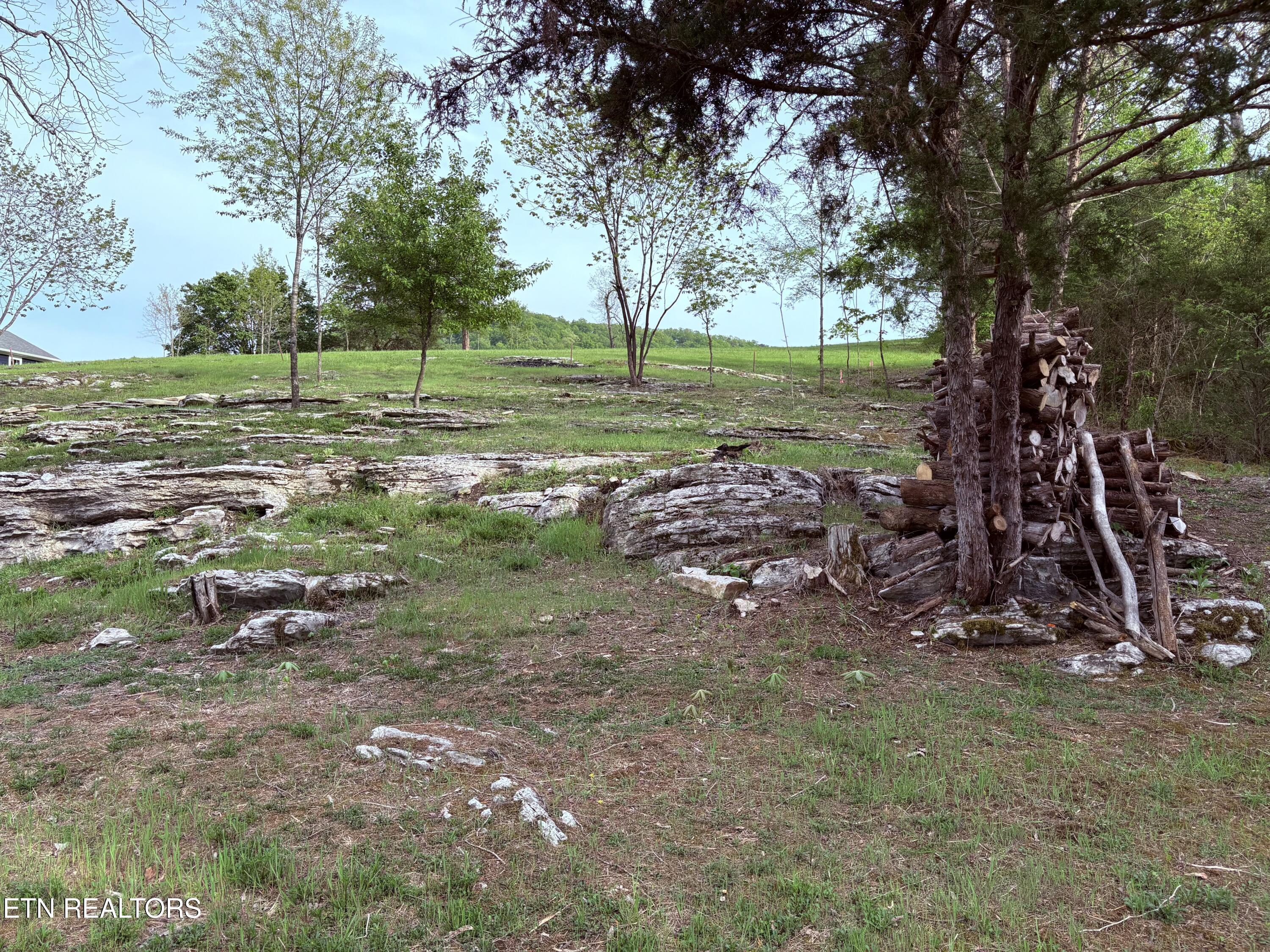 Lot 20 Fishers Loop, Sharps Chapel, TN - Norris Lake Real Estate - Image# 13