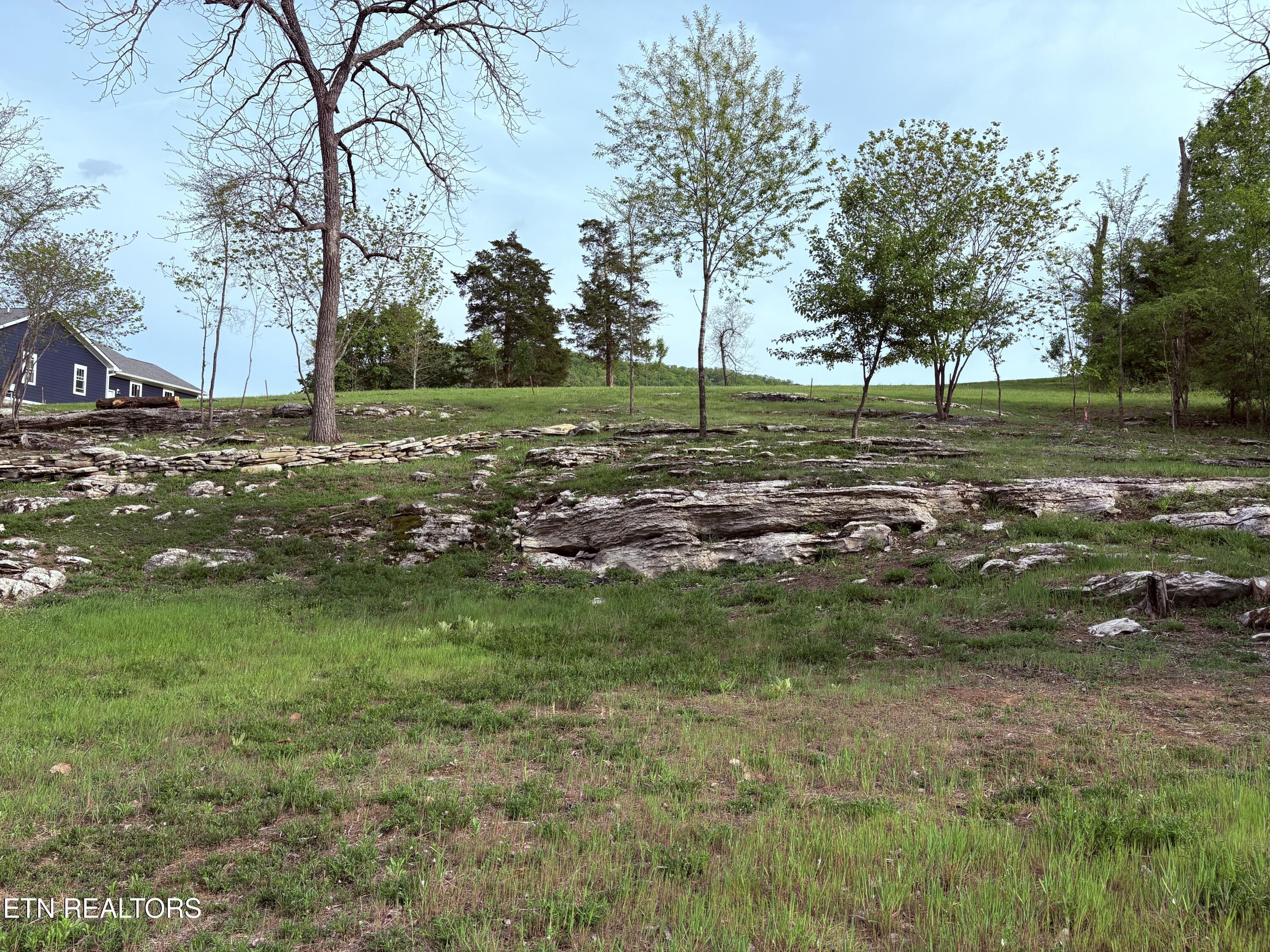 Lot 20 Fishers Loop, Sharps Chapel, TN - Norris Lake Real Estate - Image# 14