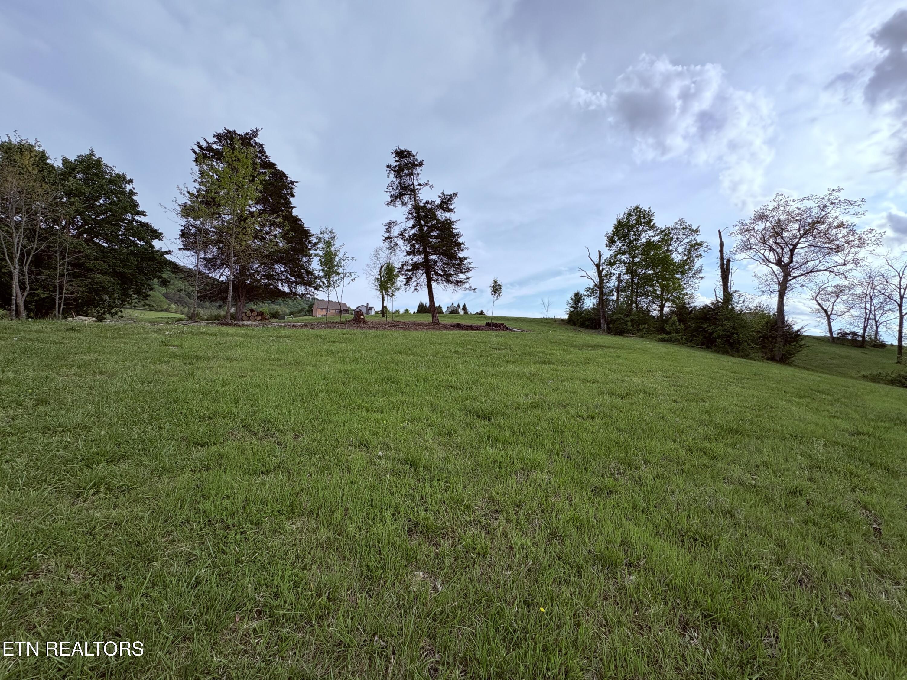 Lot 20 Fishers Loop, Sharps Chapel, TN - Norris Lake Real Estate - Image# 15
