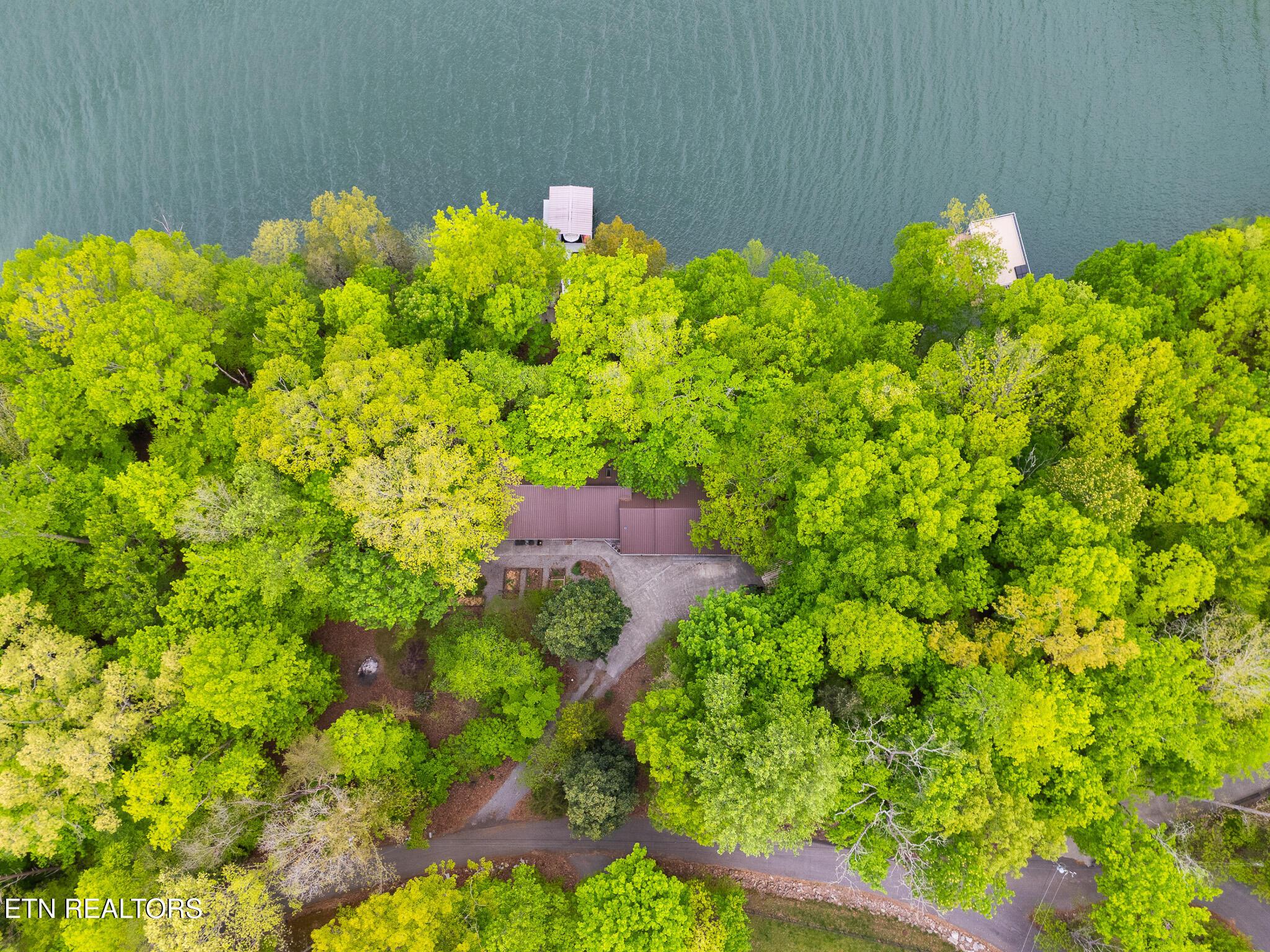 209 Cuttawa Lane, Andersonville, TN - Norris Lake Real Estate - Image# 3