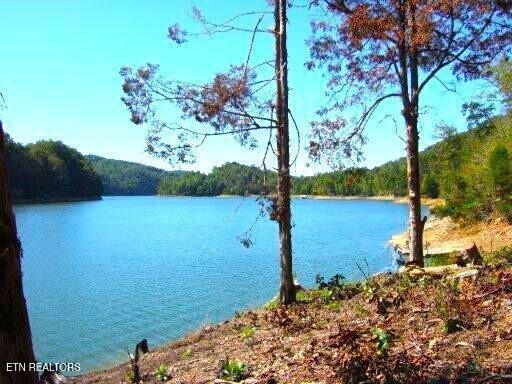 Mountain Shores Lot 49 Rd, New Tazewell, TN - Norris Lake Real Estate - Image# 3
