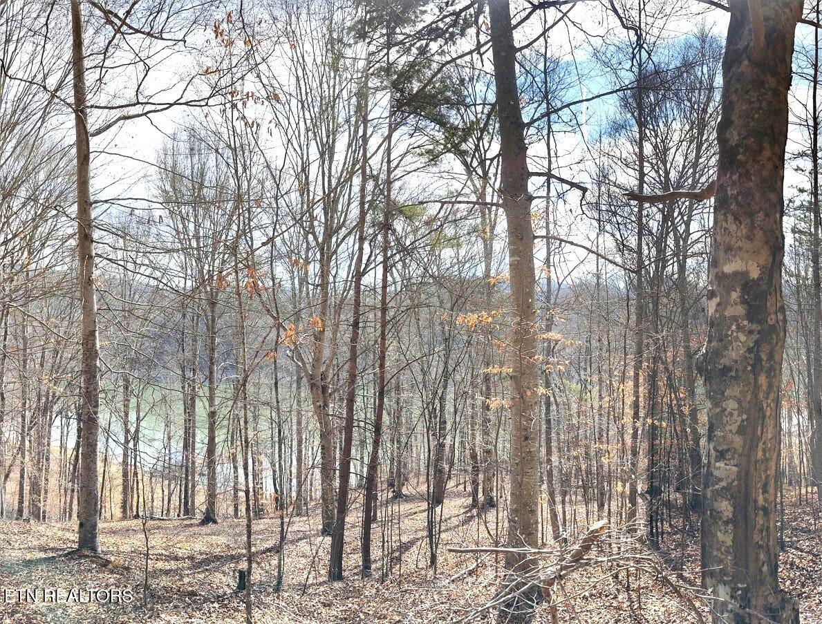 Mountain Shores Lot 49 Rd, New Tazewell, TN - Norris Lake Real Estate - Image# 6