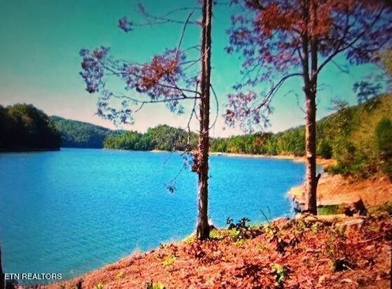 Mountain Shores Lot 49 Rd, New Tazewell, TN - Norris Lake Real Estate - Image# 9