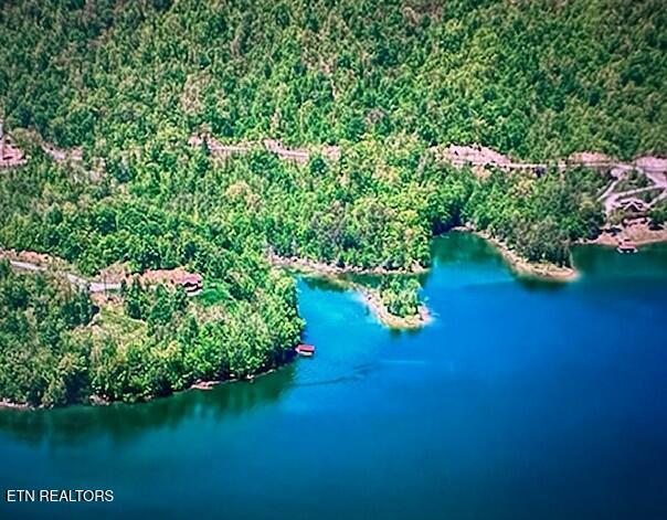 Mountain Shores Lot 49 Rd, New Tazewell, TN - Norris Lake Real Estate - Image# 2