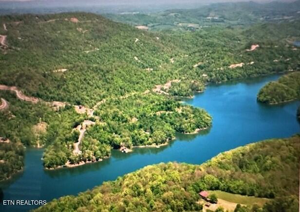 Mountain Shores Lot 49 Rd, New Tazewell, TN - Norris Lake Real Estate - Image# 4