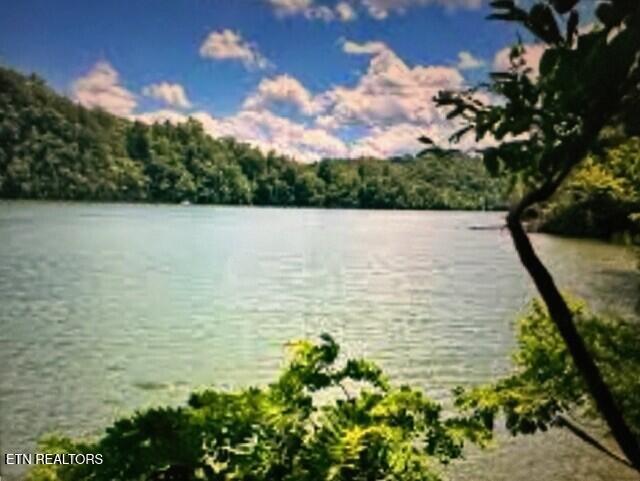 Mountain Shores Lot 49 Rd, New Tazewell, TN - Norris Lake Real Estate - Image# 10
