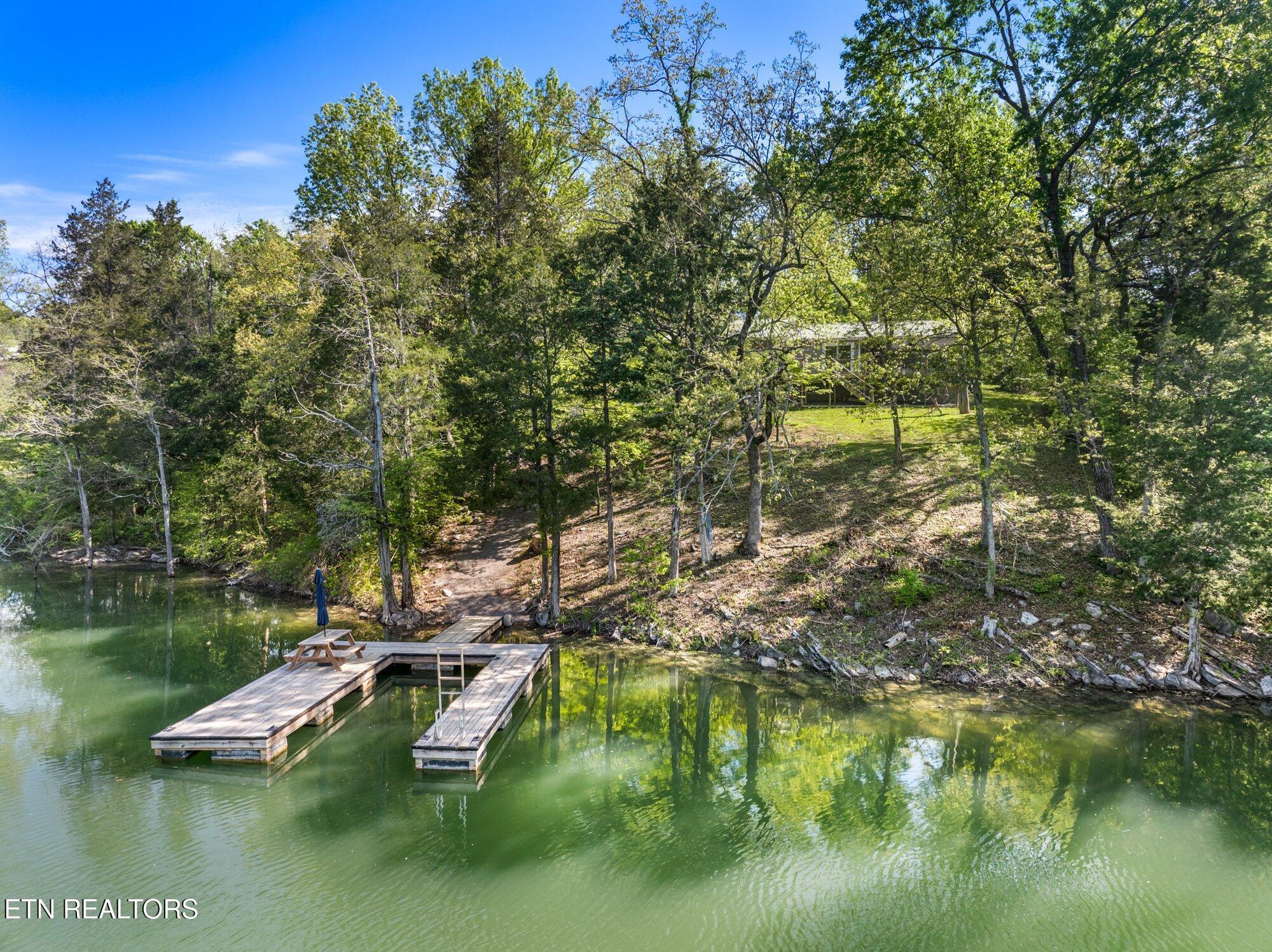 183 Shelby Loop, New Tazewell, TN - Norris Lake Real Estate - Image# 4