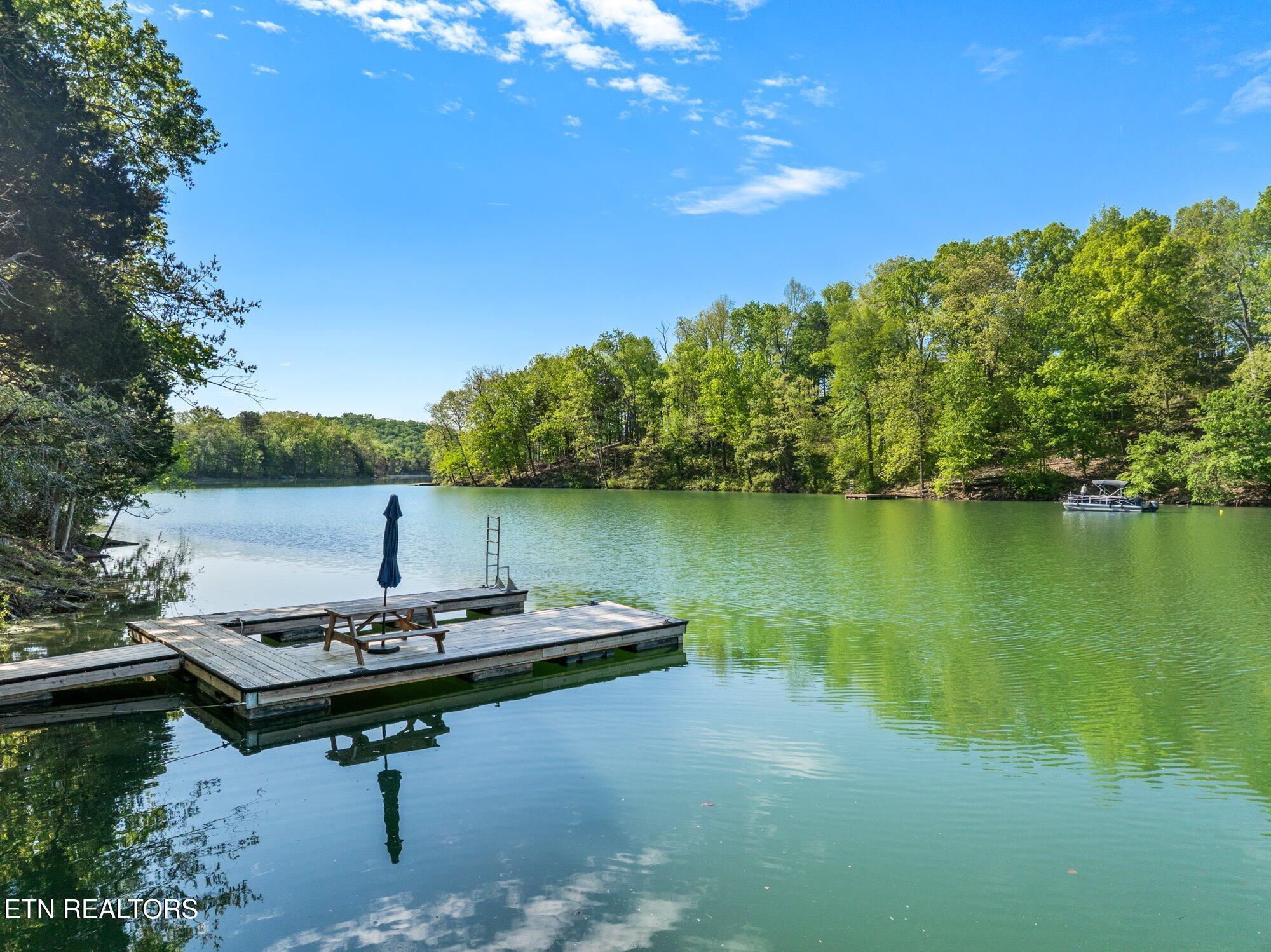 183 Shelby Loop, New Tazewell, TN - Norris Lake Real Estate - Image# 6