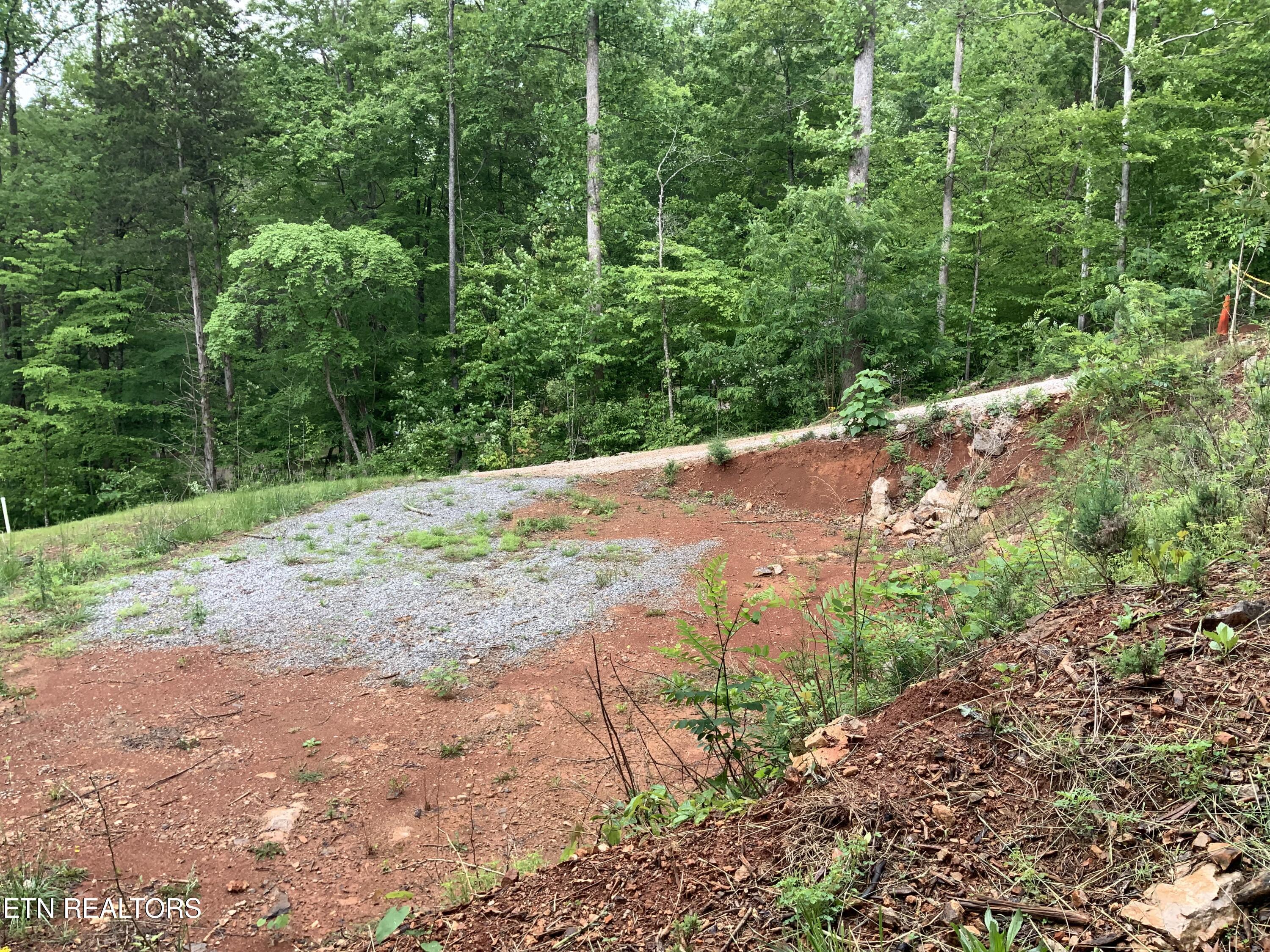 Norris Lake Real Estate - Image# 6