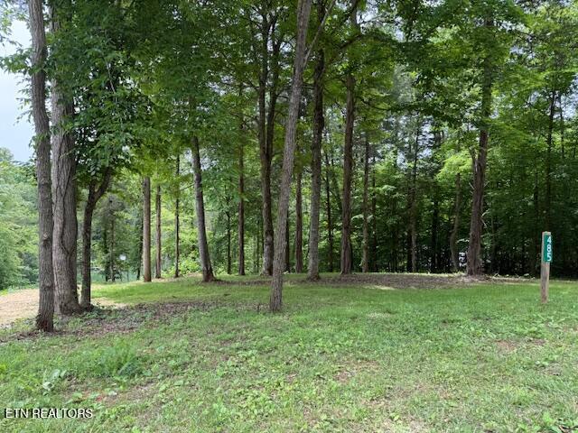 485 Highland Trace Rd, Sharps Chapel, TN - Norris Lake Real Estate - Image# 8