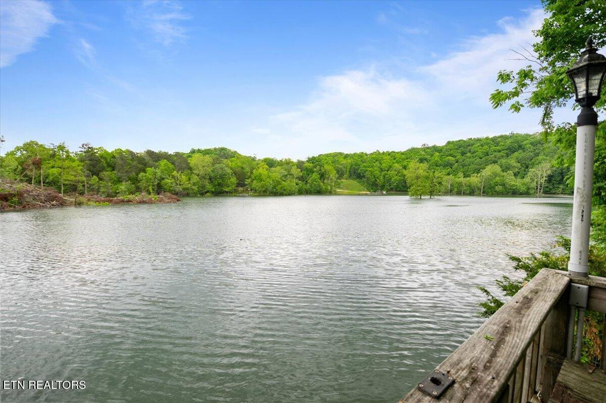446 Oak Run Rd, Lafollette, TN - Norris Lake Real Estate - Image# 18