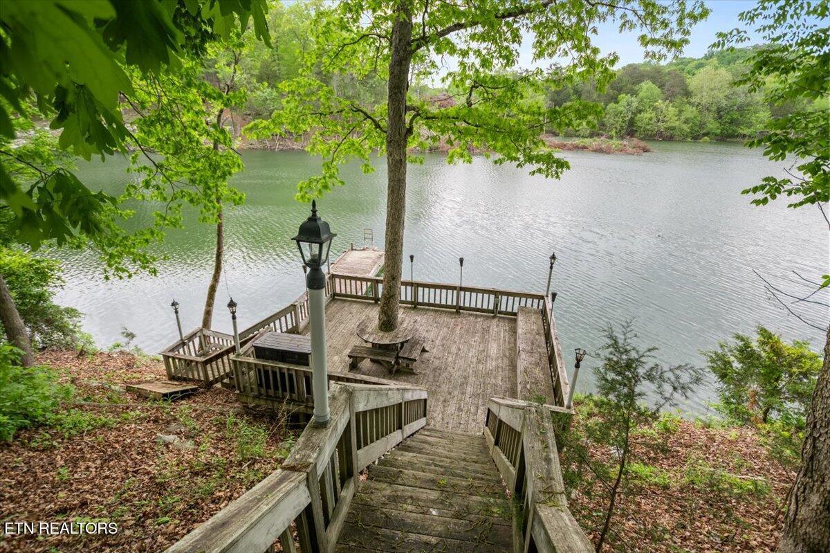 446 Oak Run Rd, Lafollette, TN - Norris Lake Real Estate - Image# 19
