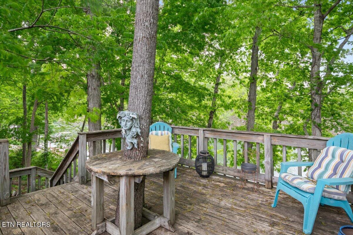 446 Oak Run Rd, Lafollette, TN - Norris Lake Real Estate - Image# 20