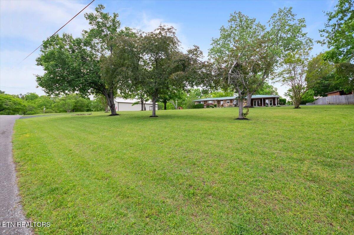 446 Oak Run Rd, Lafollette, TN - Norris Lake Real Estate - Image# 52