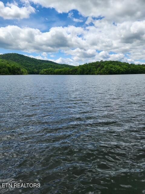 101 Bow Point Circle, Lafollette, TN - Norris Lake Real Estate - Image# 15