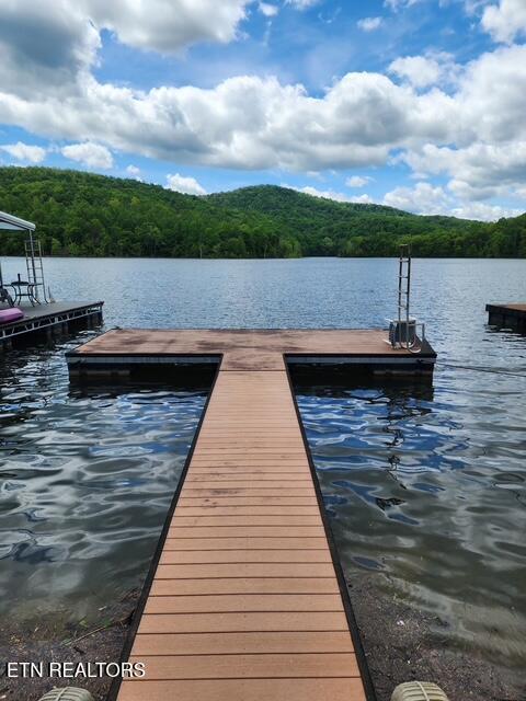101 Bow Point Circle, Lafollette, TN - Norris Lake Real Estate - Image# 14