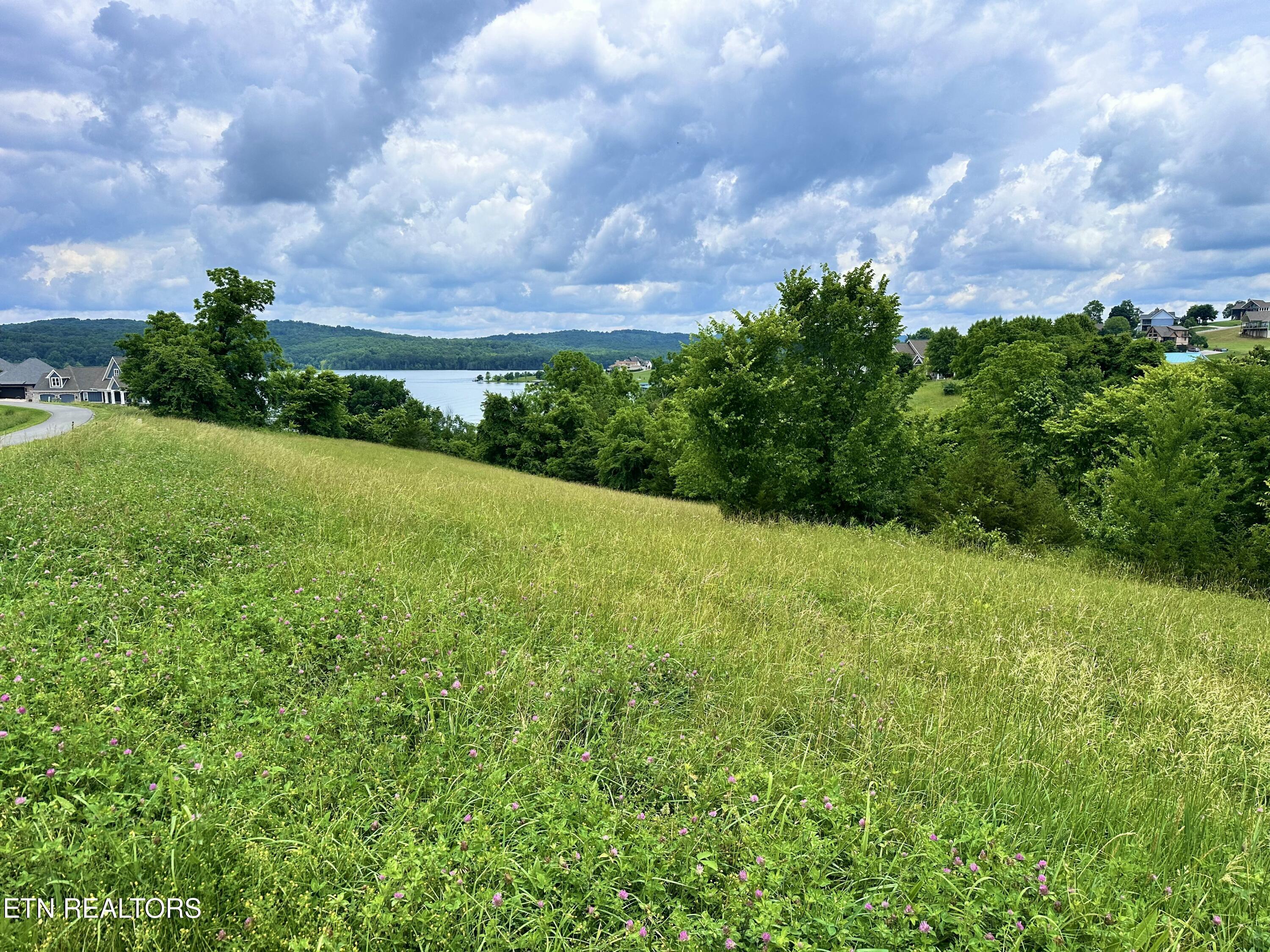 Norris Lake Real Estate - Image# 12