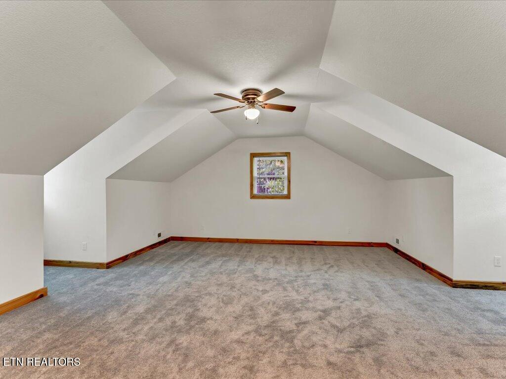 107 Straight Creek Dock Rd, New Tazewell, TN - Norris Lake Real Estate - Image# 29