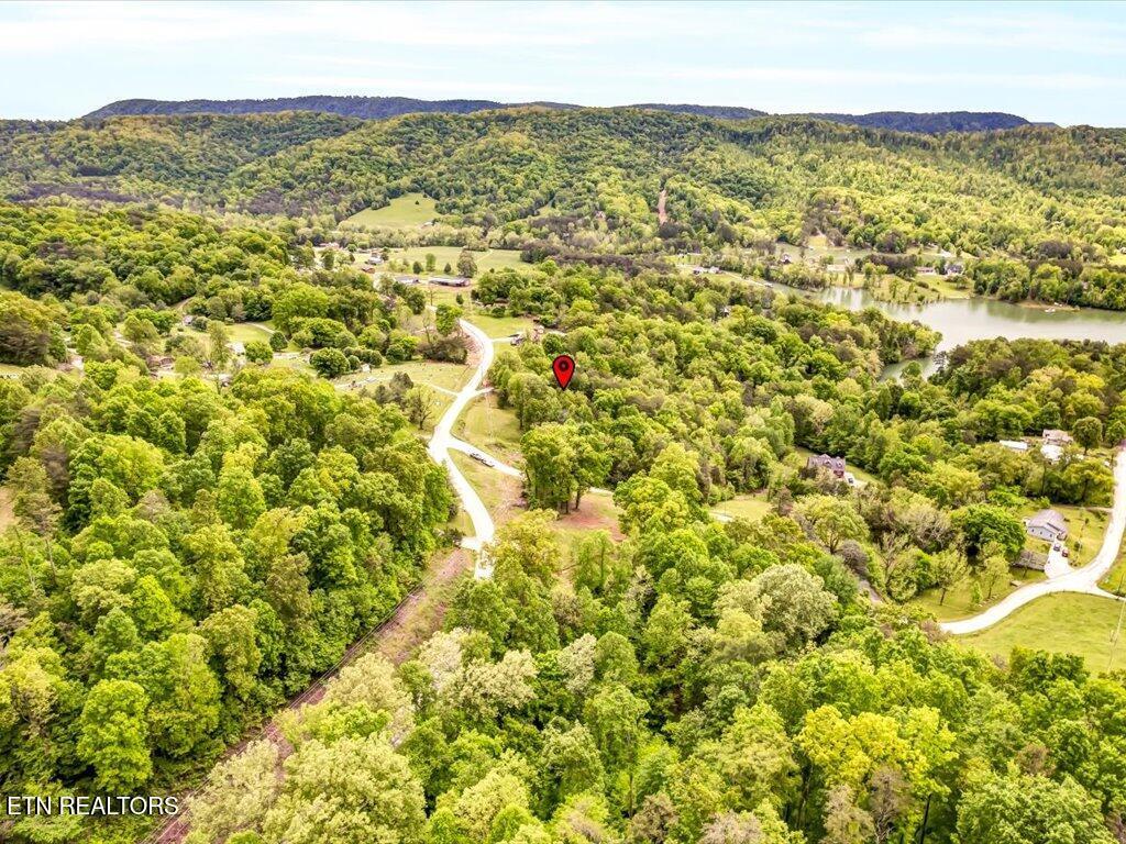 107 Straight Creek Dock Rd, New Tazewell, TN - Norris Lake Real Estate - Image# 45