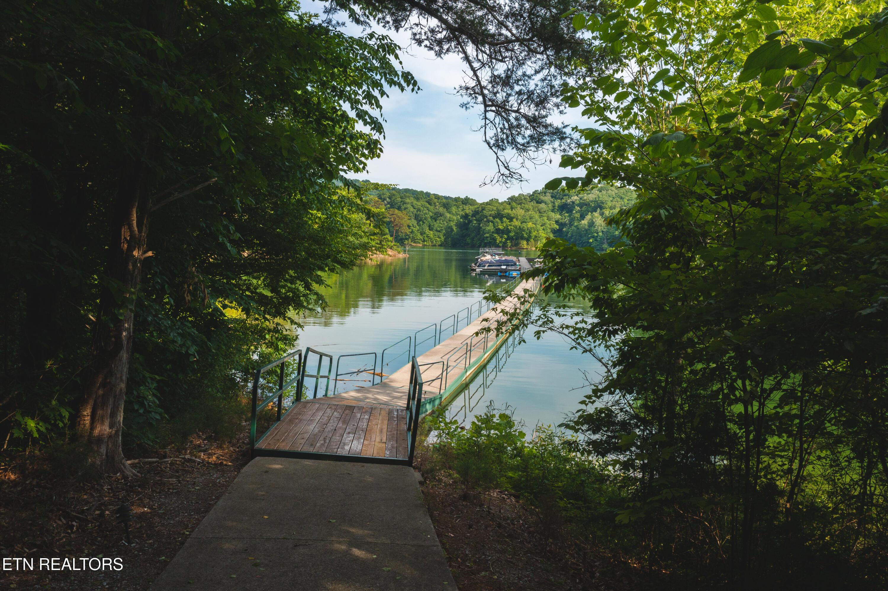 Norris Lake Real Estate - Image# 7