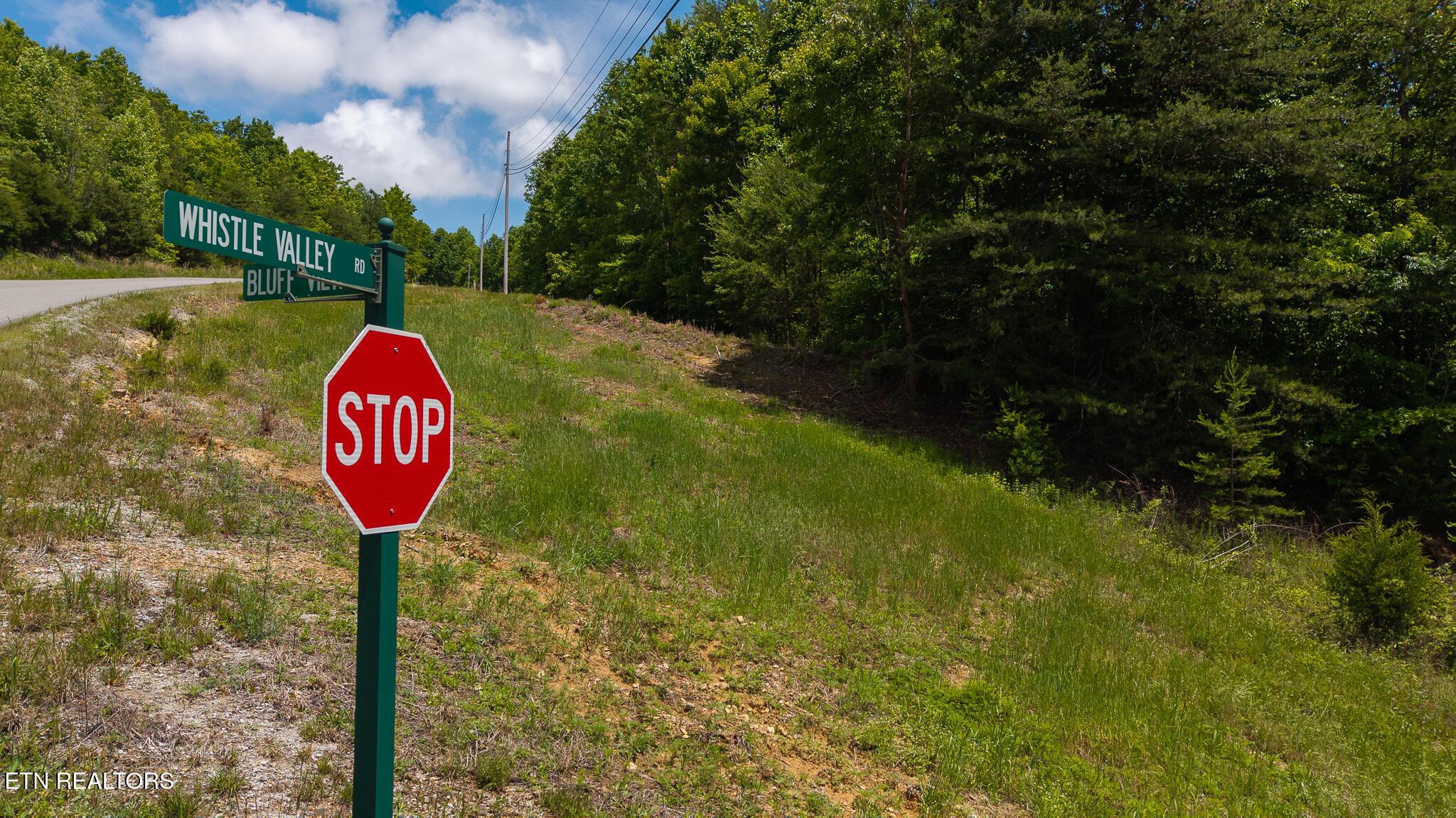 Norris Lake Real Estate - Image# 11