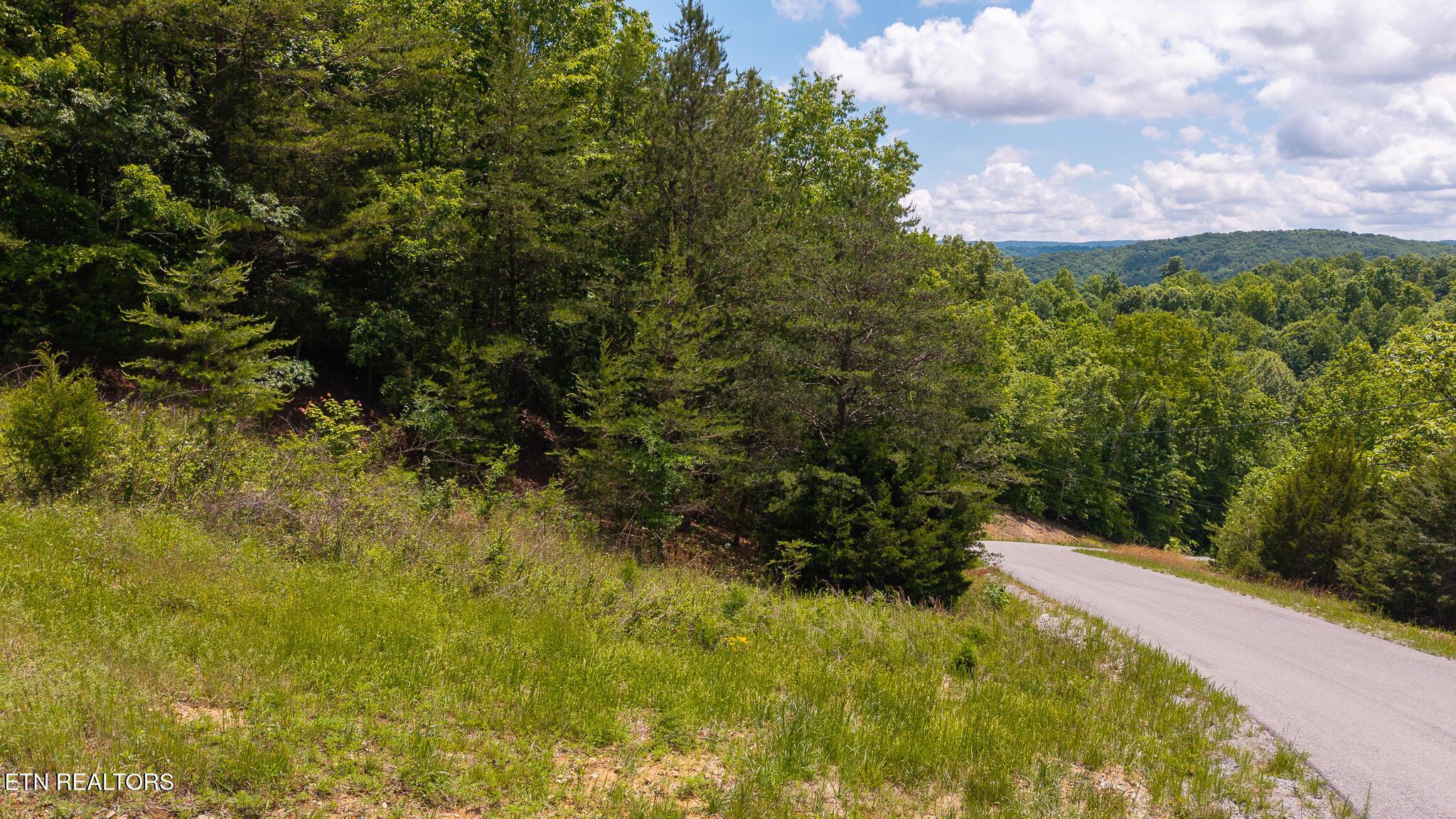 Norris Lake Real Estate - Image# 12