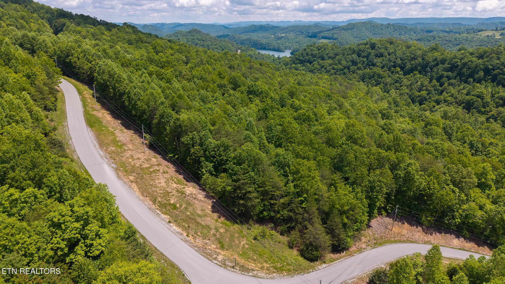 Norris Lake Real Estate - Image# 13