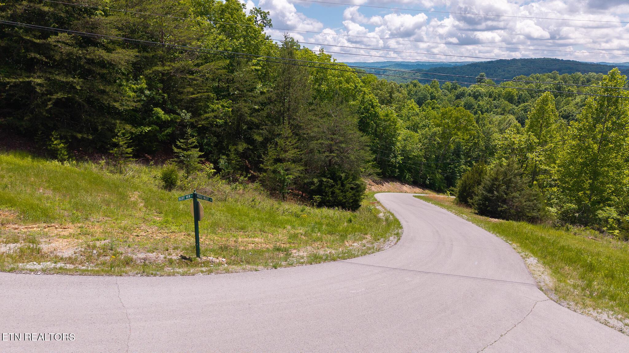 Norris Lake Real Estate - Image# 18
