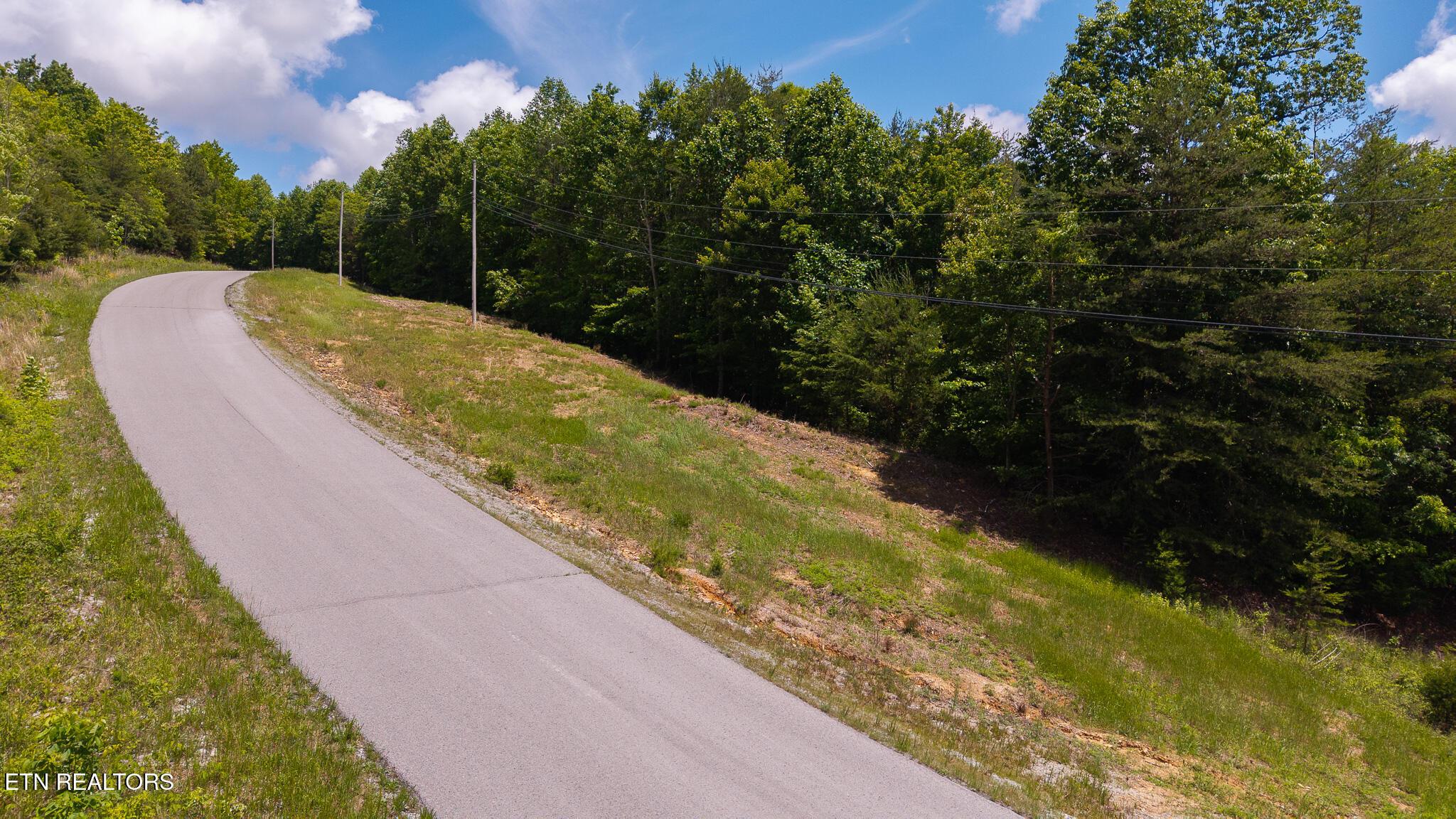 Norris Lake Real Estate - Image# 19