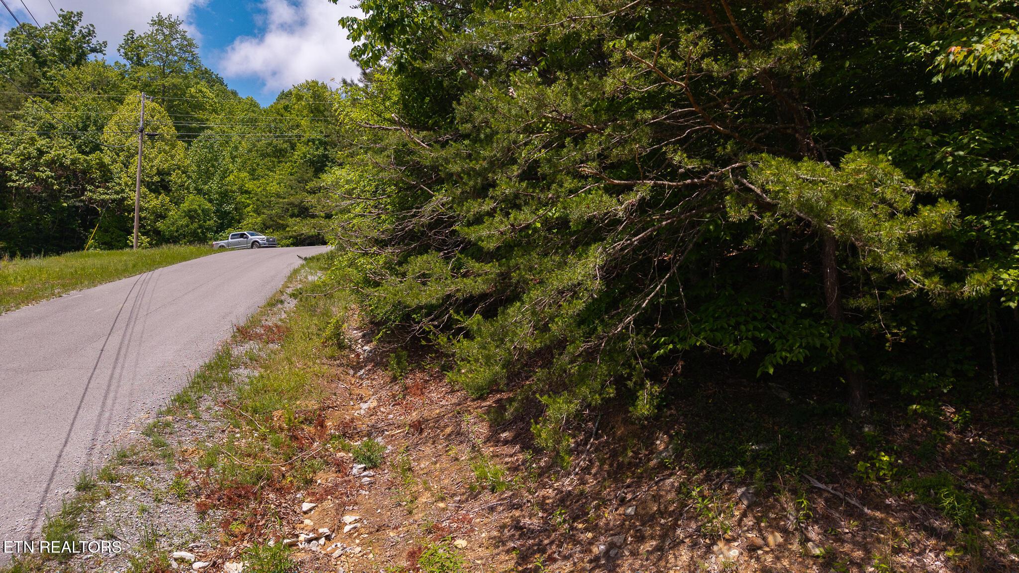 Norris Lake Real Estate - Image# 20