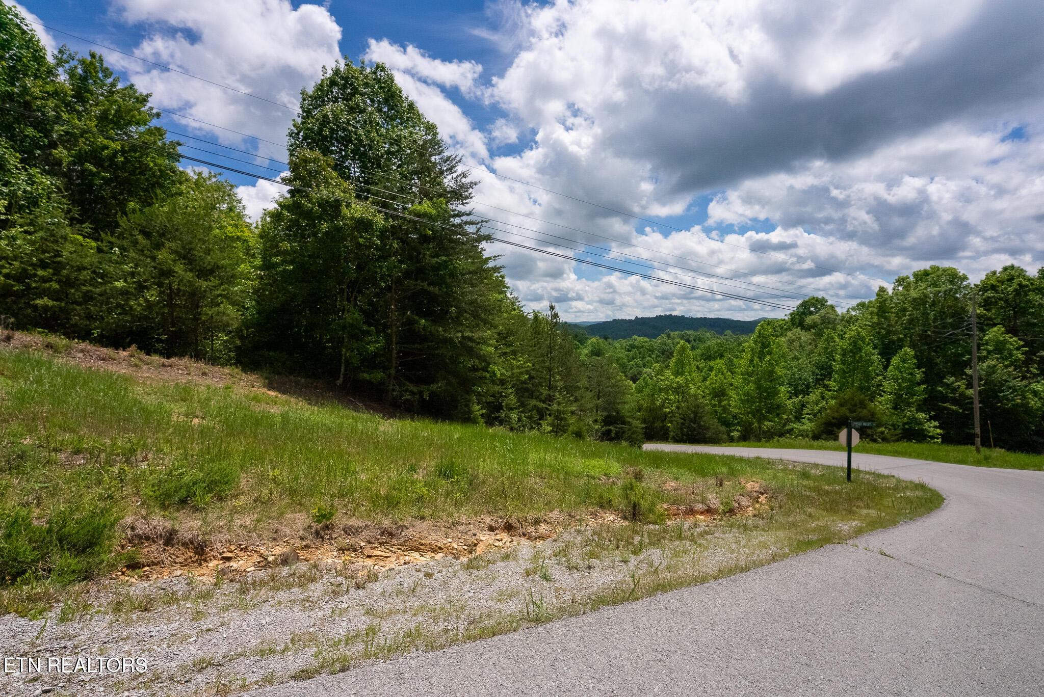 Norris Lake Real Estate - Image# 25