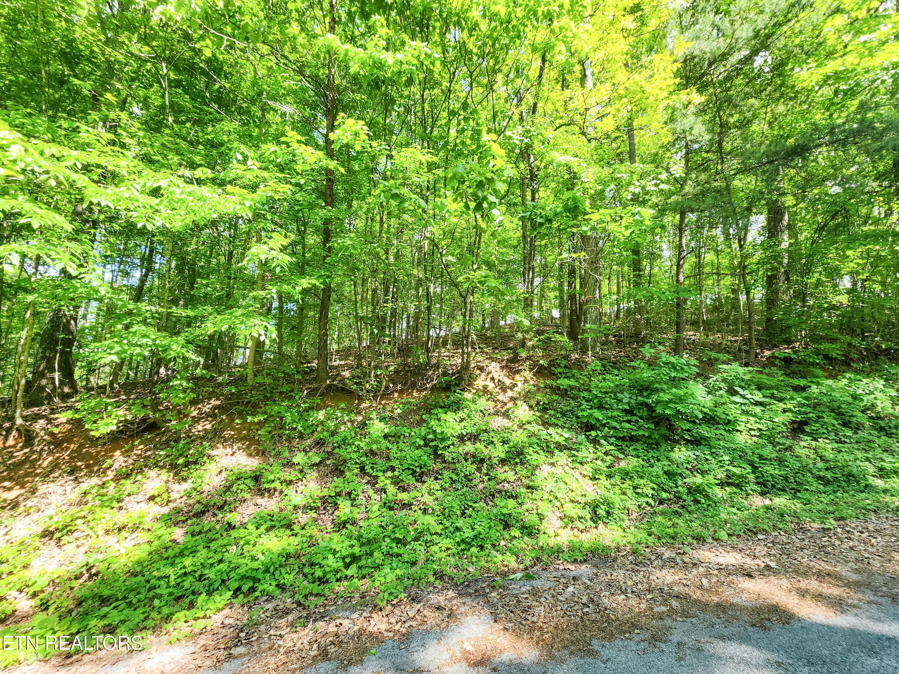 Norris Lake Real Estate - Image# 1