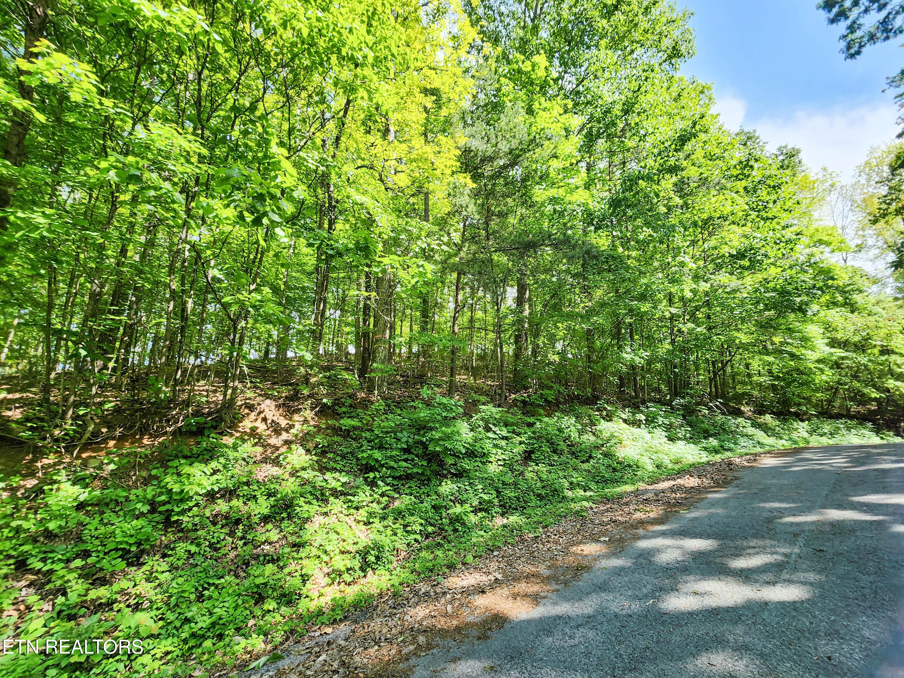 Norris Lake Real Estate - Image# 5