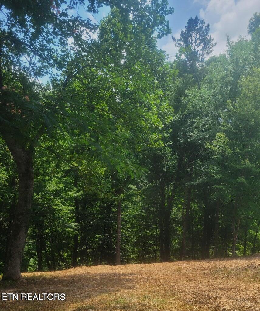 Norris Lake Real Estate - Image# 4