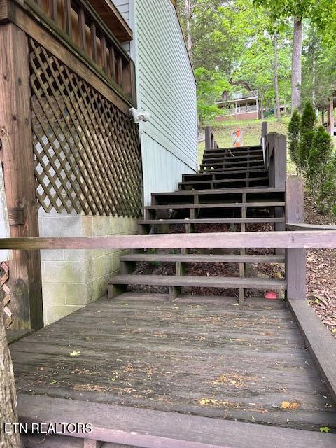 339 Flat Hollow Marina Rd, Speedwell, TN - Norris Lake Real Estate - Image# 27