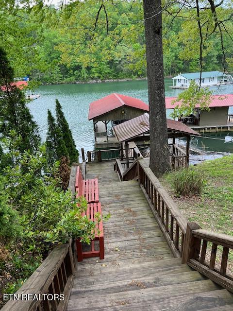 339 Flat Hollow Marina Rd, Speedwell, TN - Norris Lake Real Estate - Image# 33