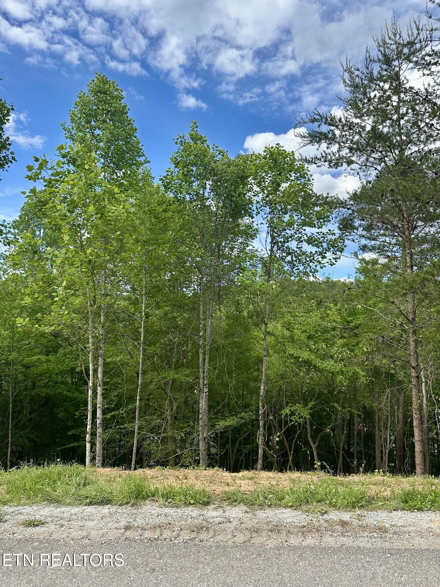 Norris Lake Real Estate - Image# 1